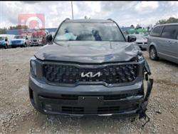 كيا تيلوريد